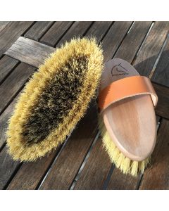 Wurzelkardätsche -Mucky Pup-