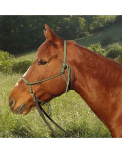 Ring-Knotenhalfter