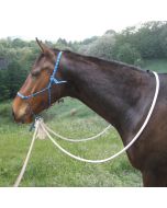 Natural Hackamore